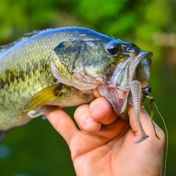 Fishing lure